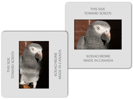 Old Style Slide MockUp